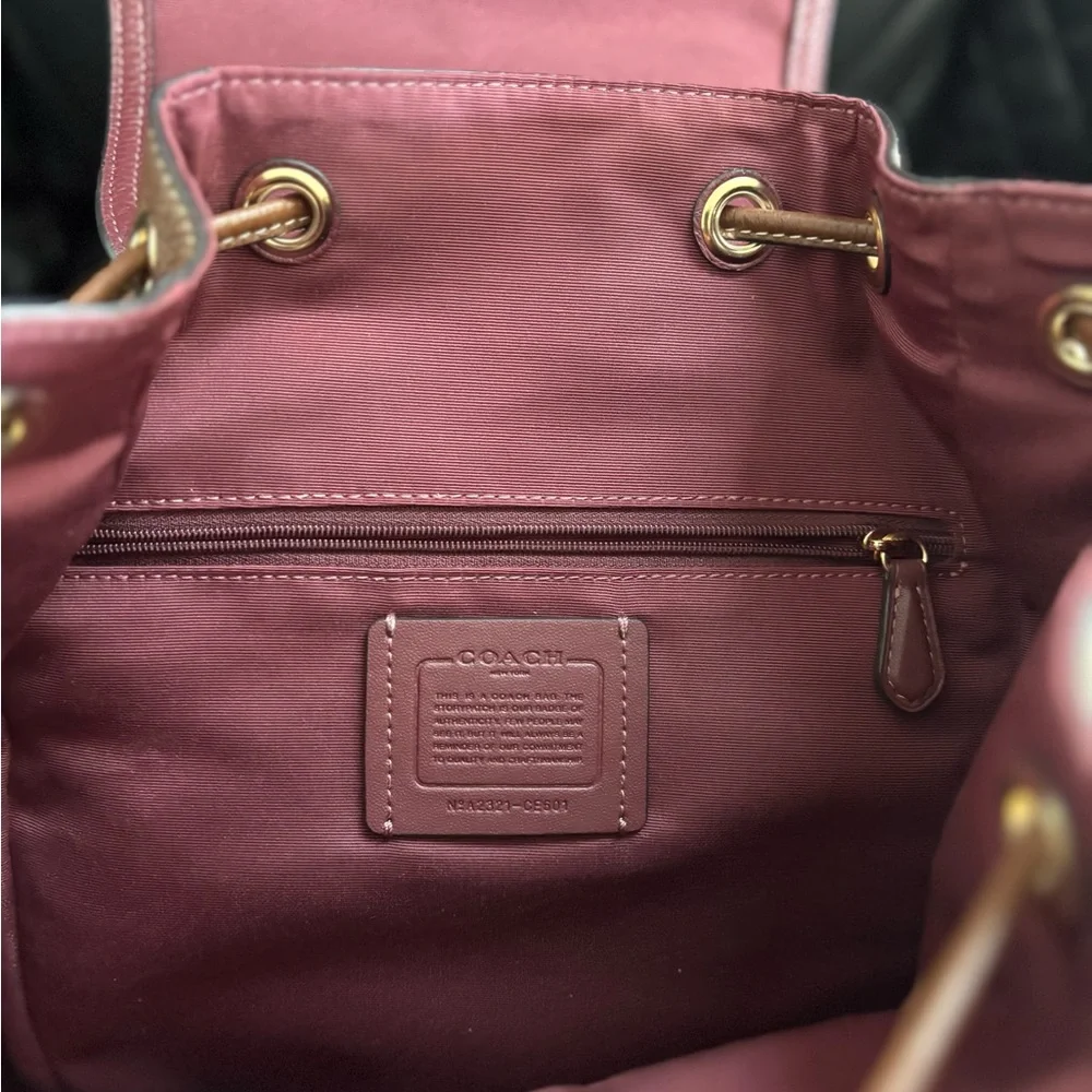 Coach Tan and Brown Signature Stripe Backpack - Picture 3 of 9